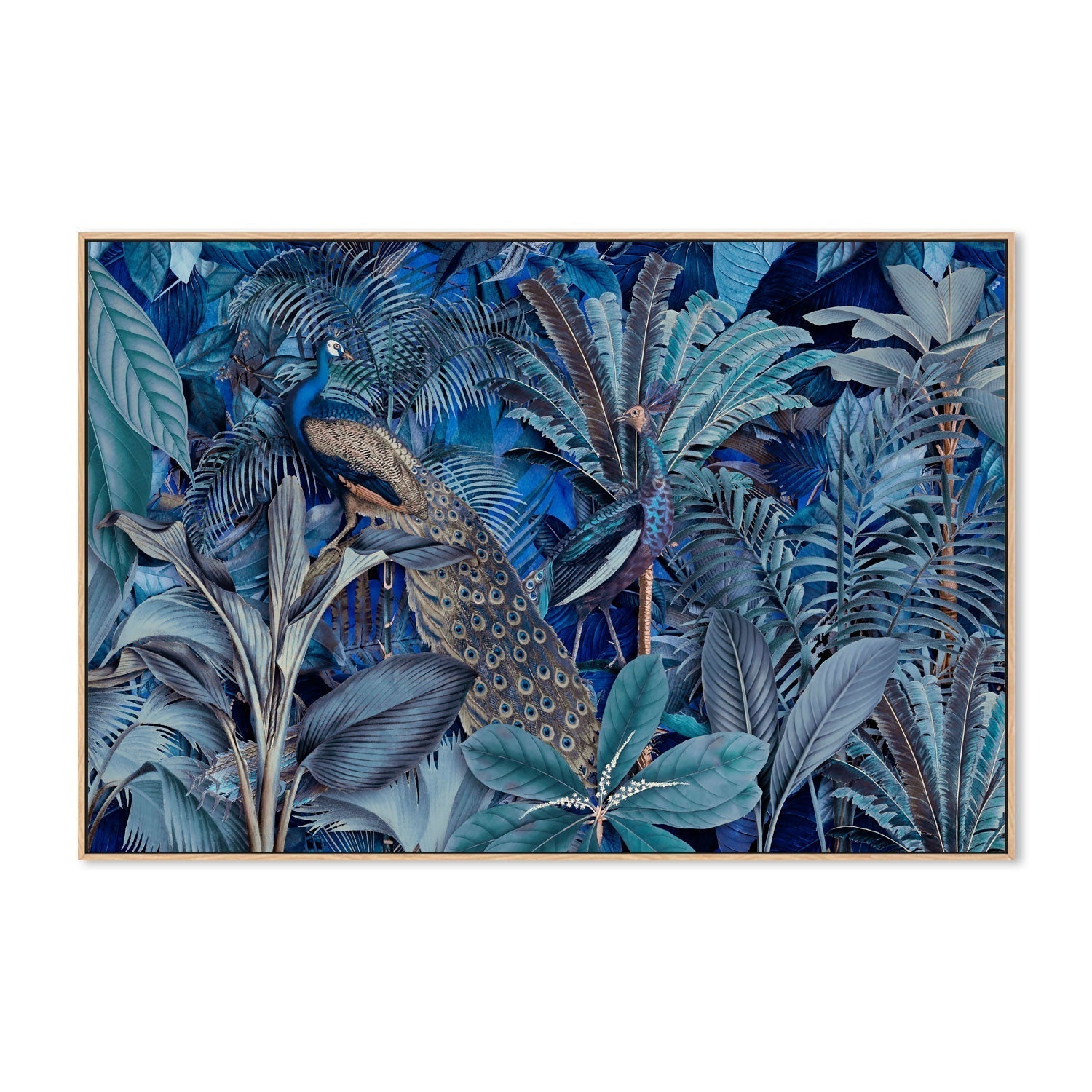wall-art-print-canvas-poster-framed-Jungle Birds In Blue, By Andrea Haase-GIOIA-WALL-ART