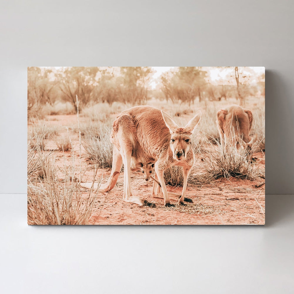 wall-art-print-canvas-poster-framed-Kangaroo And Joey, Western Australia-by-Gioia Wall Art-Gioia Wall Art