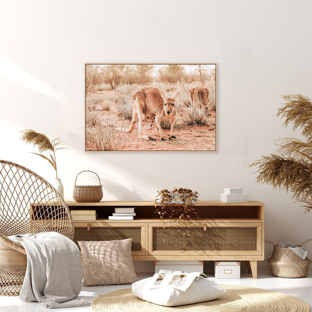 wall-art-print-canvas-poster-framed-Kangaroo And Joey, Western Australia-by-Gioia Wall Art-Gioia Wall Art