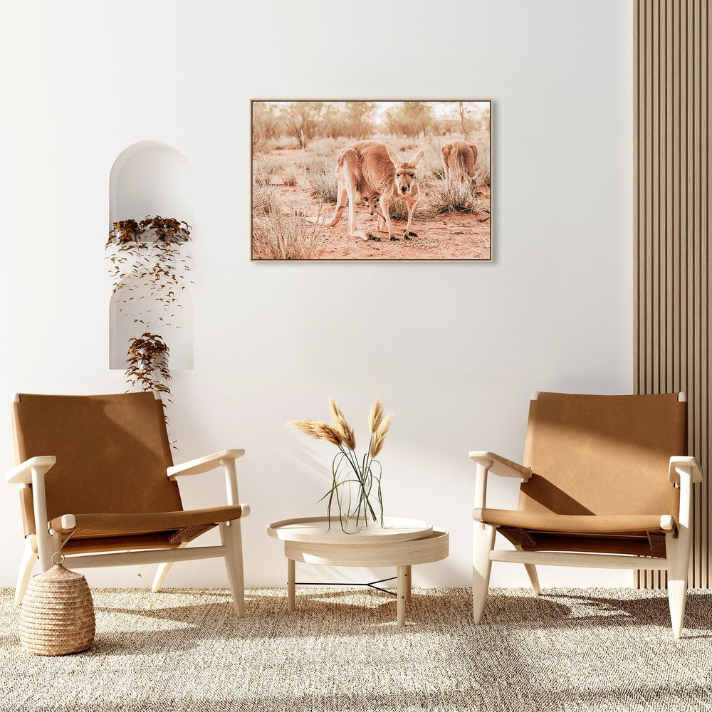 wall-art-print-canvas-poster-framed-Kangaroo And Joey, Western Australia-by-Gioia Wall Art-Gioia Wall Art
