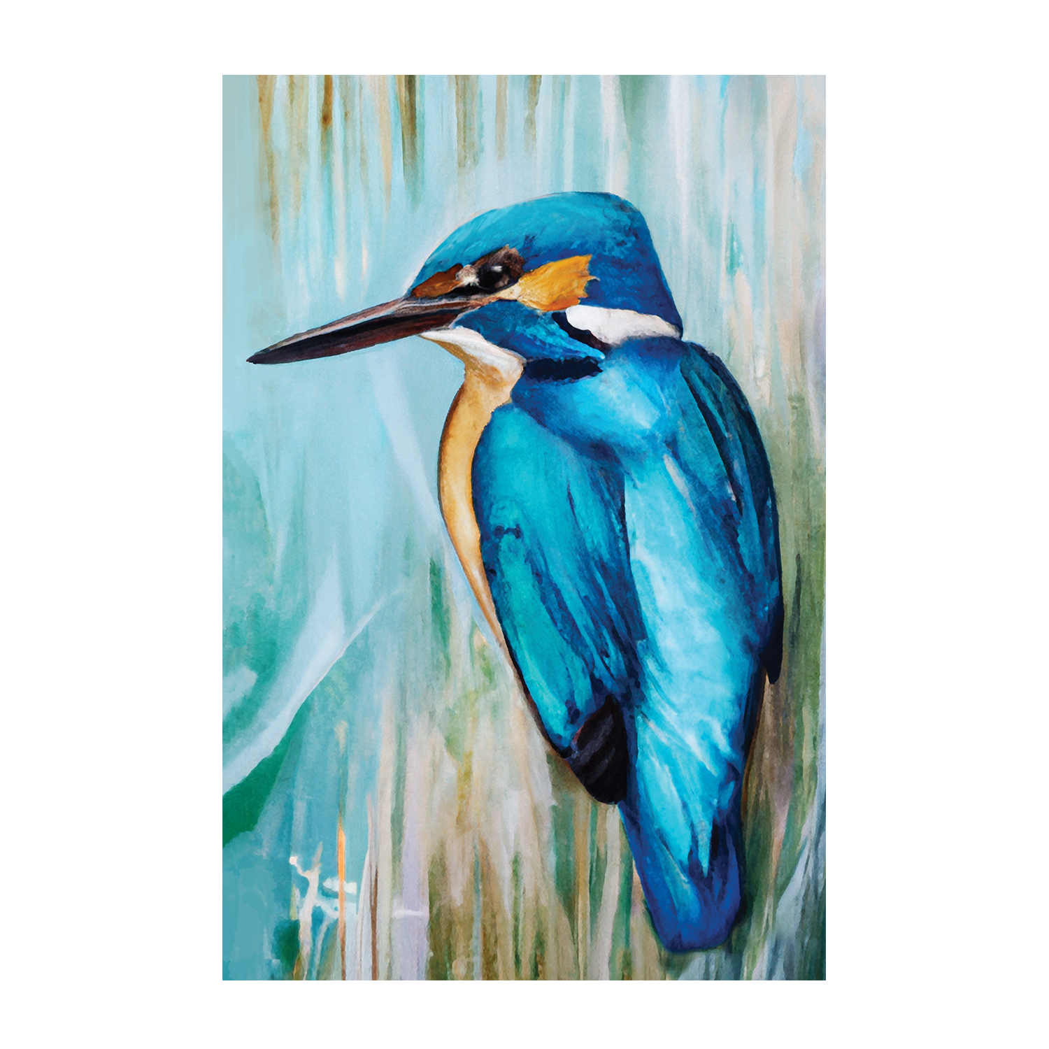 wall-art-print-canvas-poster-framed-King Kingfisher , By Stacey Williams-1
