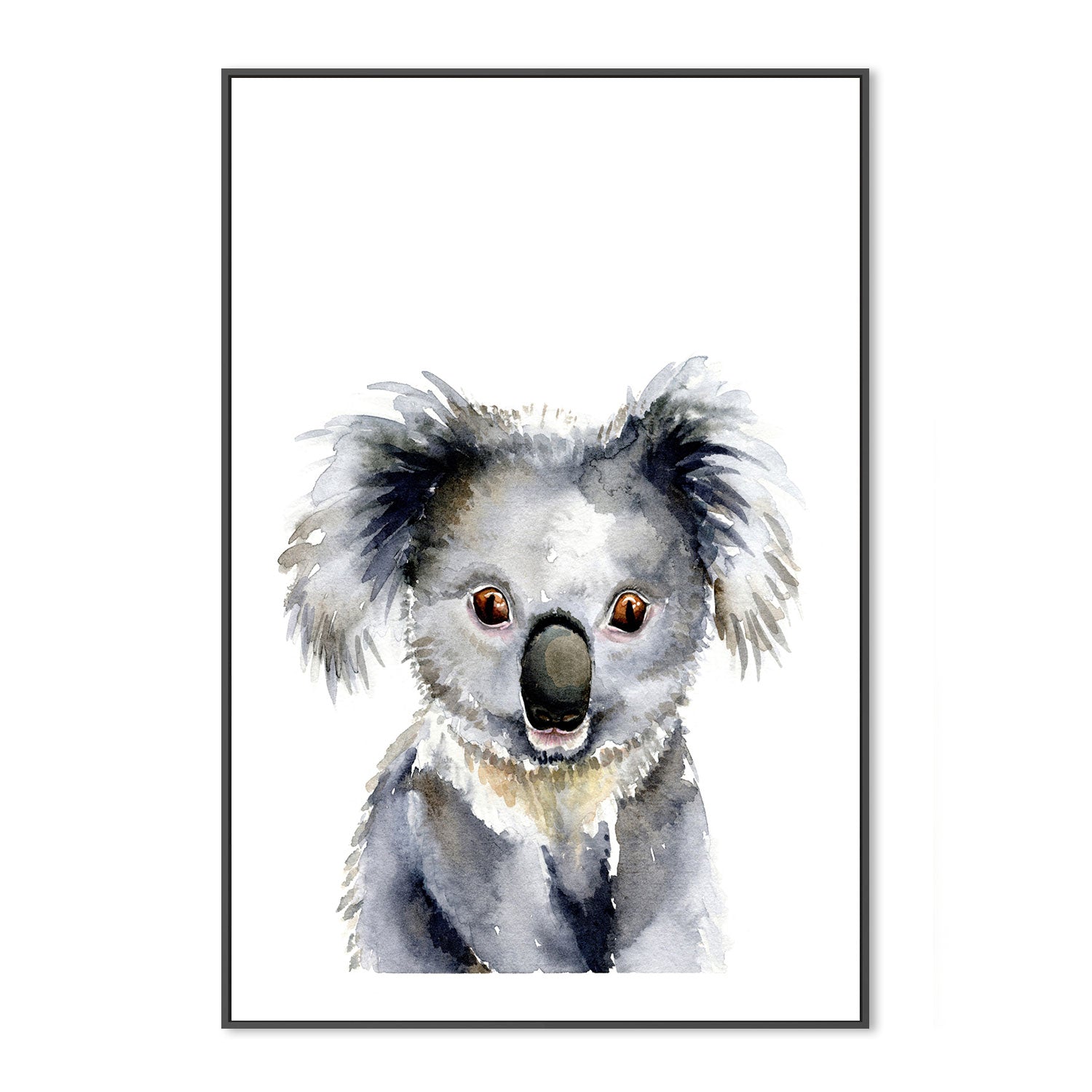 wall-art-print-canvas-poster-framed-Koala , By Jessie Mitchelson-GIOIA-WALL-ART