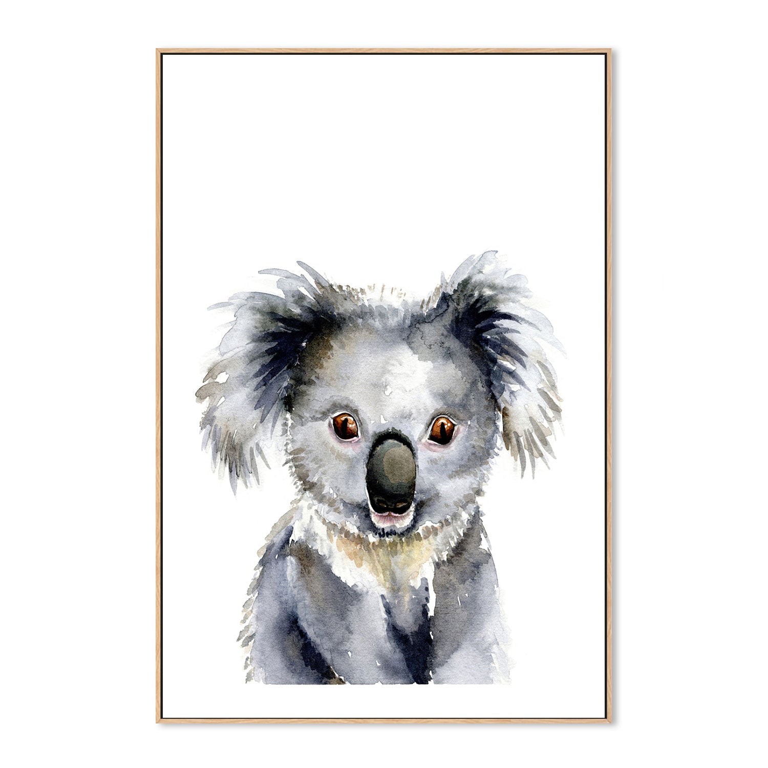 wall-art-print-canvas-poster-framed-Koala , By Jessie Mitchelson-GIOIA-WALL-ART