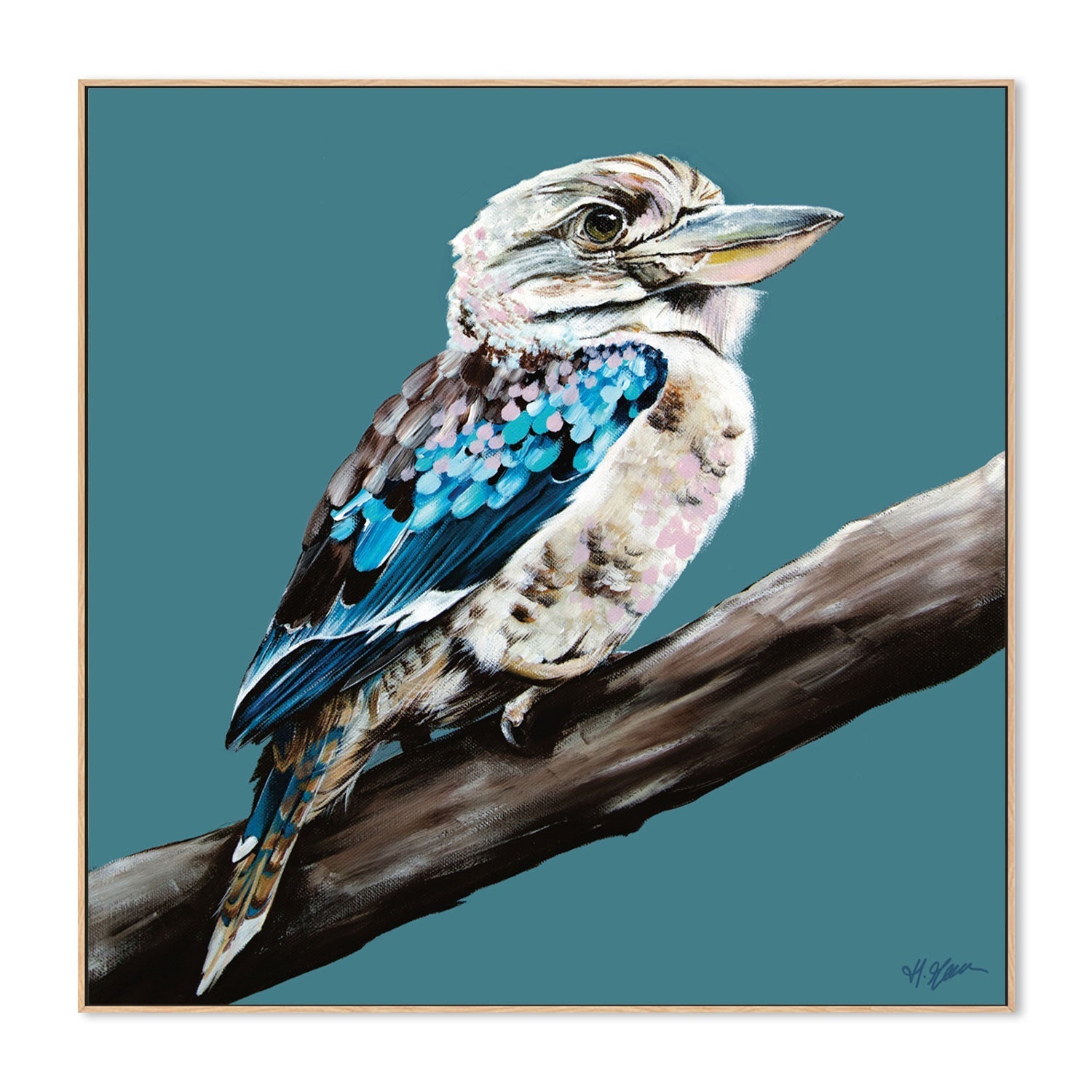 Kookaburra Blue, Style B , By Heylie Morris