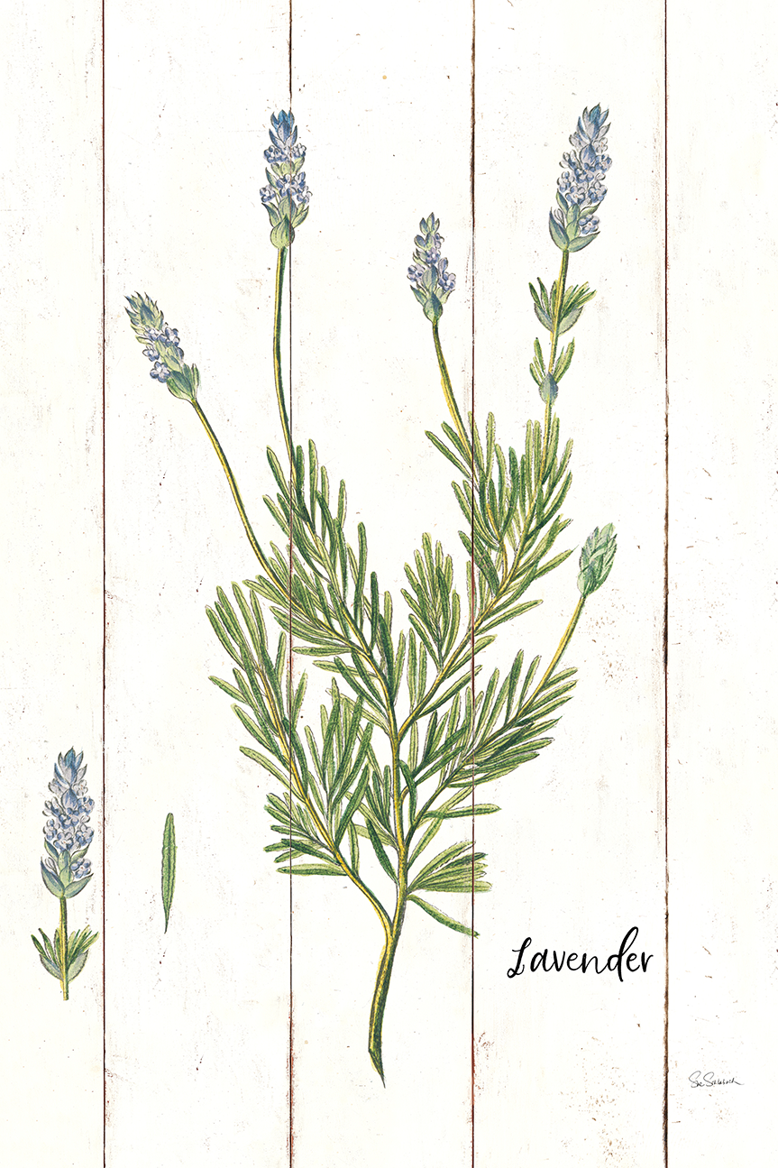 wall-art-print-canvas-poster-framed-Lavender Cottage Herbs, Style A , By Sue Schlabach-1