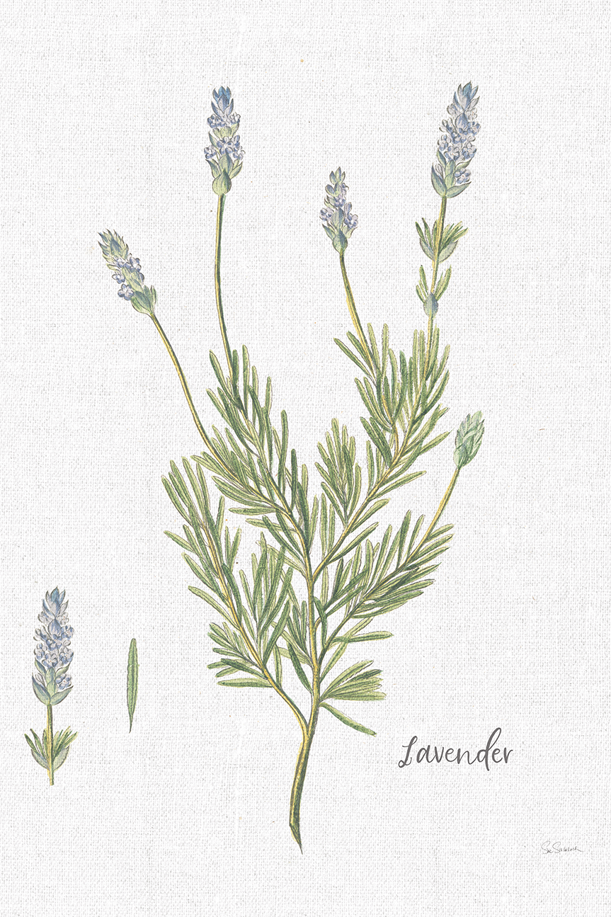 wall-art-print-canvas-poster-framed-Lavender Cottage Herbs, Style B , By Sue Schlabach-1
