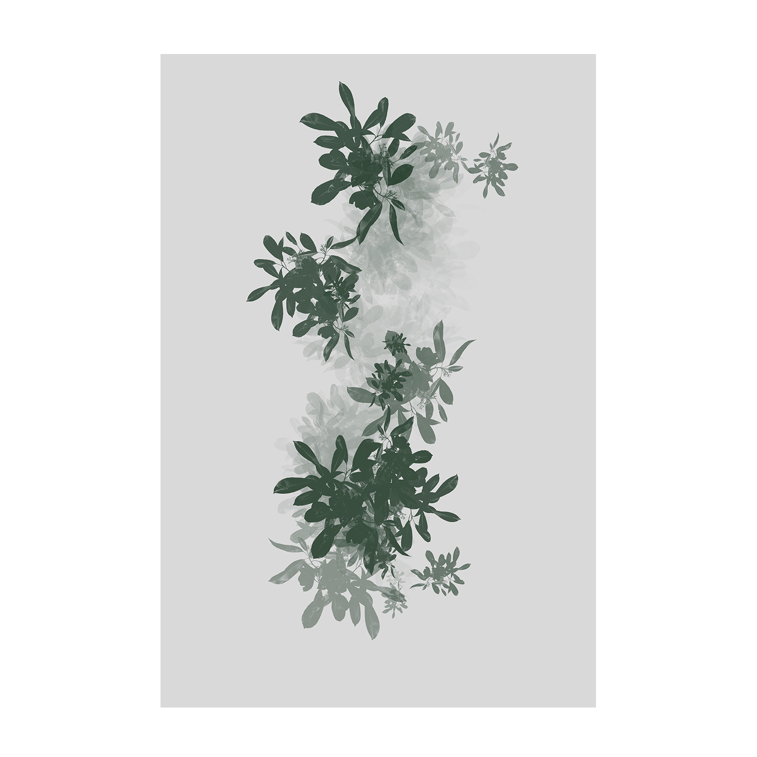 wall-art-print-canvas-poster-framed-Leaf Botanic, Style B , By Karine Tonial Grimm-1