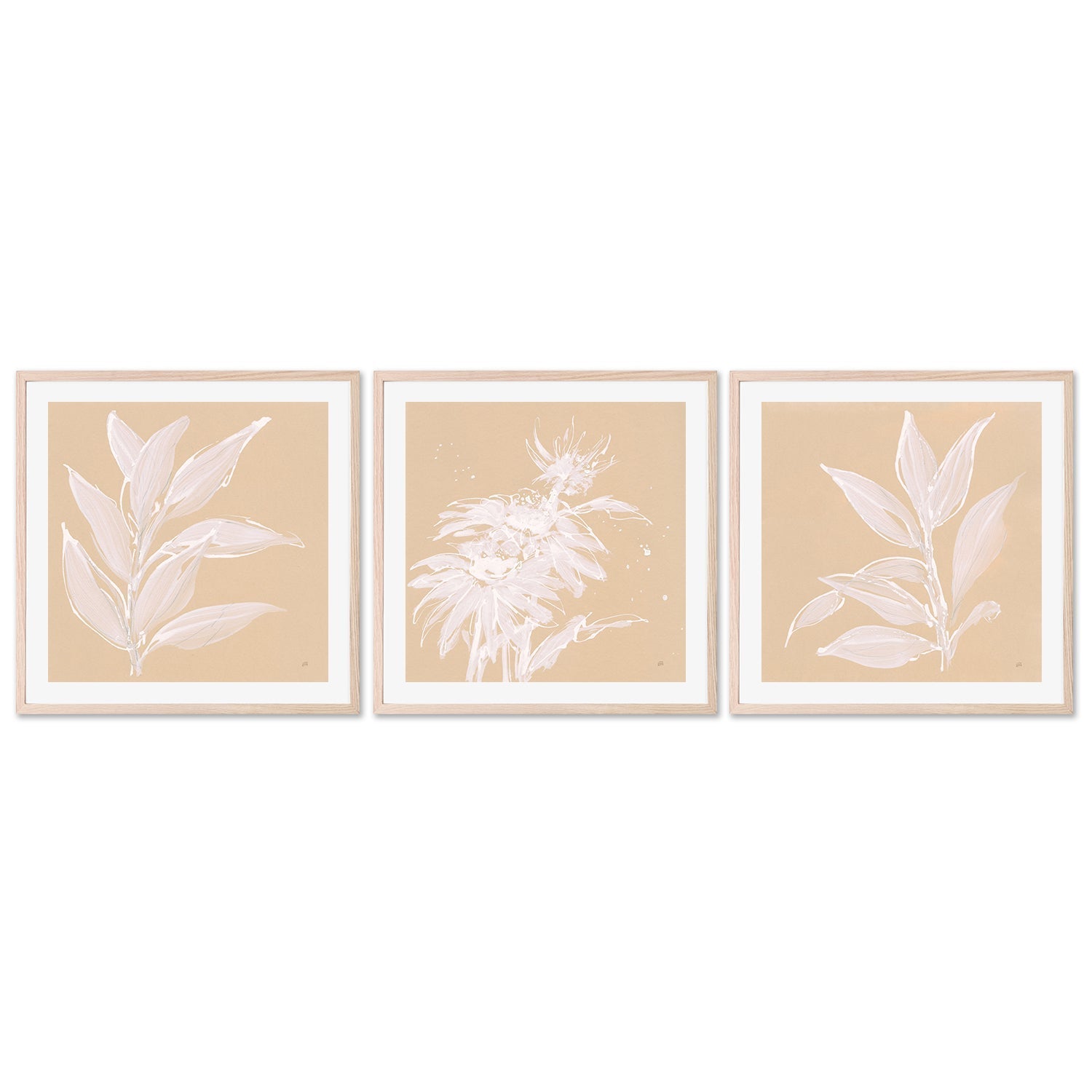 wall-art-print-canvas-poster-framed-Leaf Study, Set of 3-by-Chris Paschke-Gioia Wall Art
