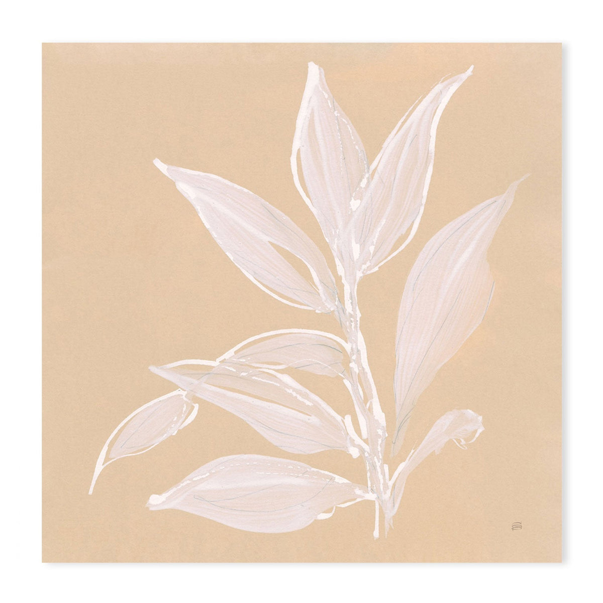 wall-art-print-canvas-poster-framed-Leaf Study, Style A-by-Chris Paschke-Gioia Wall Art