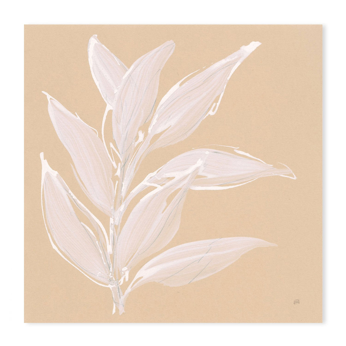 wall-art-print-canvas-poster-framed-Leaf Study, Style B-by-Chris Paschke-Gioia Wall Art