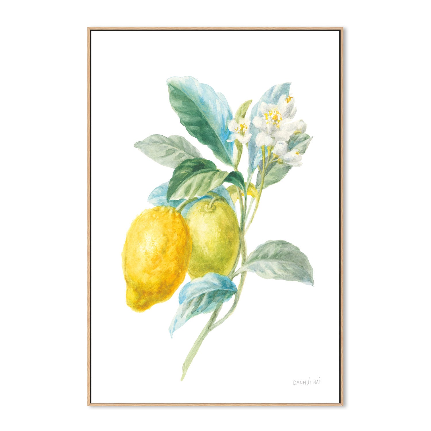 wall-art-print-canvas-poster-framed-Lemon Branch, Style A , By Danhui Nai-GIOIA-WALL-ART