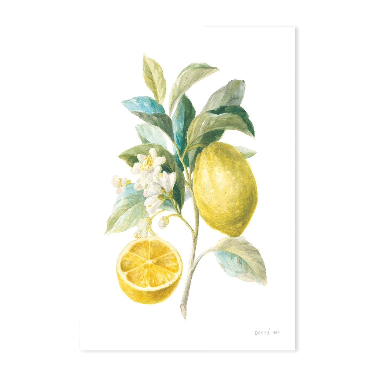wall-art-print-canvas-poster-framed-Lemon Branch, Style B , By Danhui Nai-GIOIA-WALL-ART