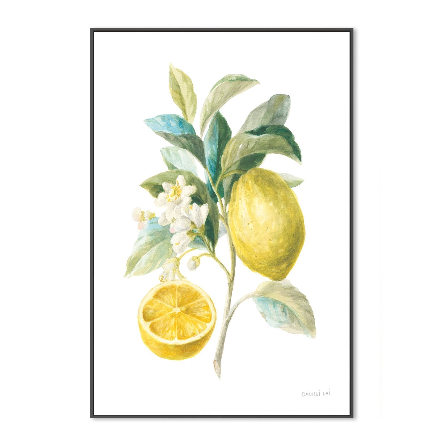 wall-art-print-canvas-poster-framed-Lemon Branch, Style B , By Danhui Nai-GIOIA-WALL-ART