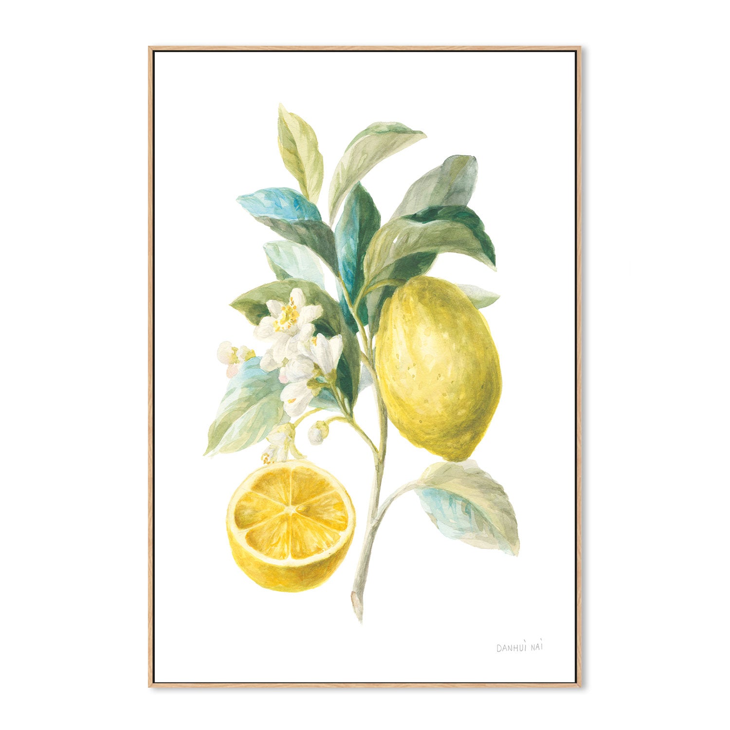 wall-art-print-canvas-poster-framed-Lemon Branch, Style B , By Danhui Nai-GIOIA-WALL-ART