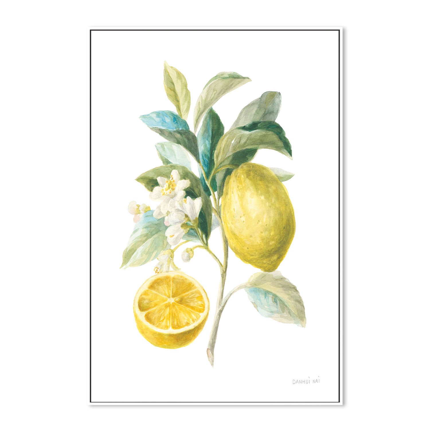 wall-art-print-canvas-poster-framed-Lemon Branch, Style B , By Danhui Nai-GIOIA-WALL-ART