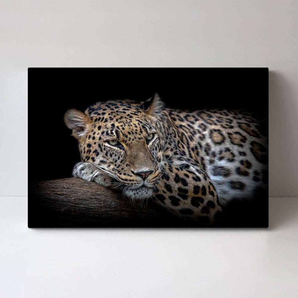 wall-art-print-canvas-poster-framed-Leopard Resting, By Nauzet Báez Photography-by-Plus X Studio-Gioia Wall Art