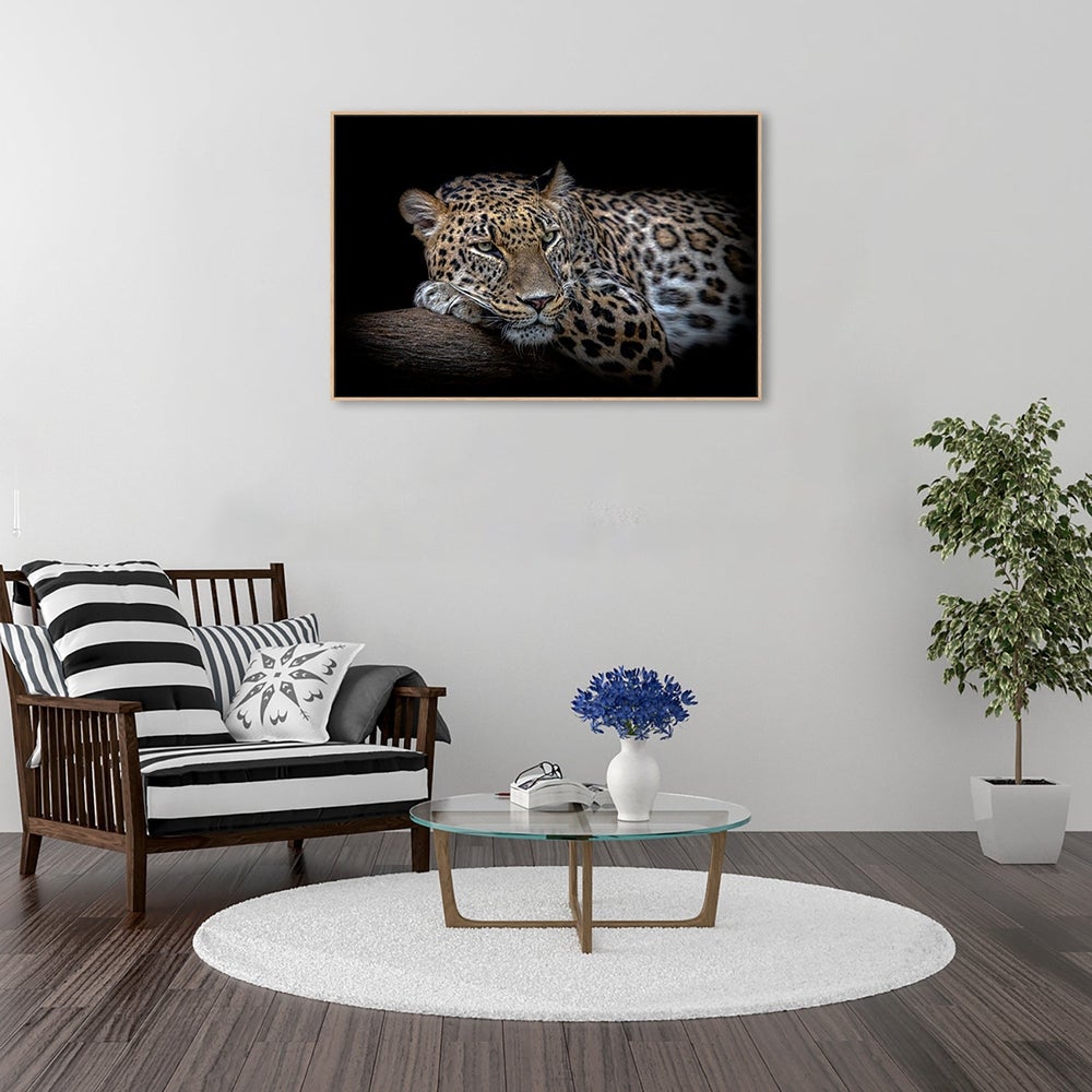 wall-art-print-canvas-poster-framed-Leopard Resting, By Nauzet Báez Photography-by-Plus X Studio-Gioia Wall Art