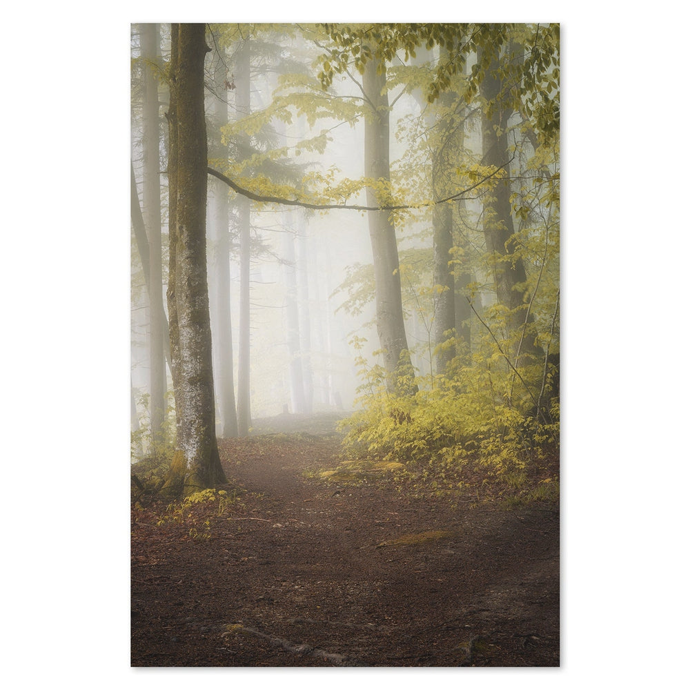 wall-art-print-canvas-poster-framed-Let'S Go For A Walk, By Norbert Maier-by-Plus X Studio-Gioia Wall Art