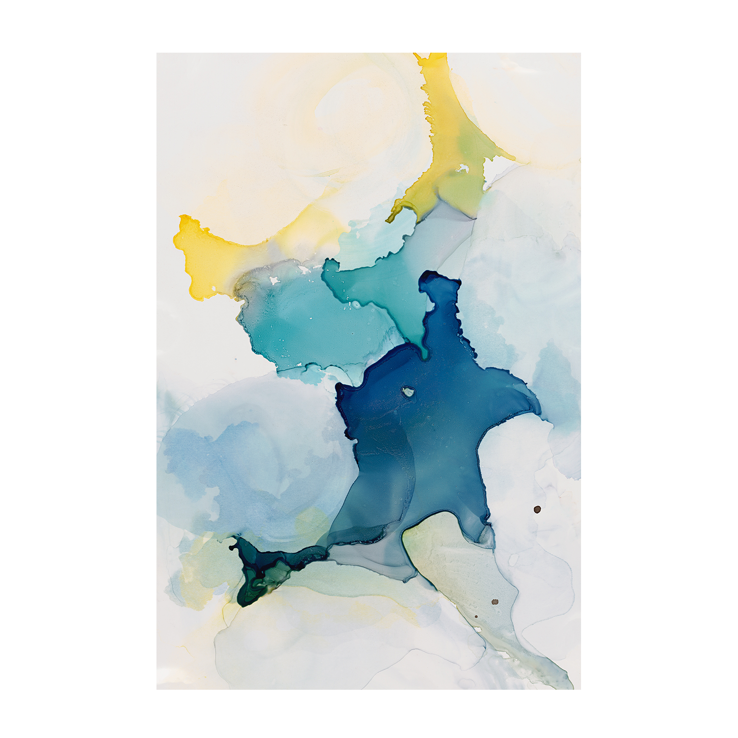 wall-art-print-canvas-poster-framed-Looking Skyward , By Megan Swartz-1