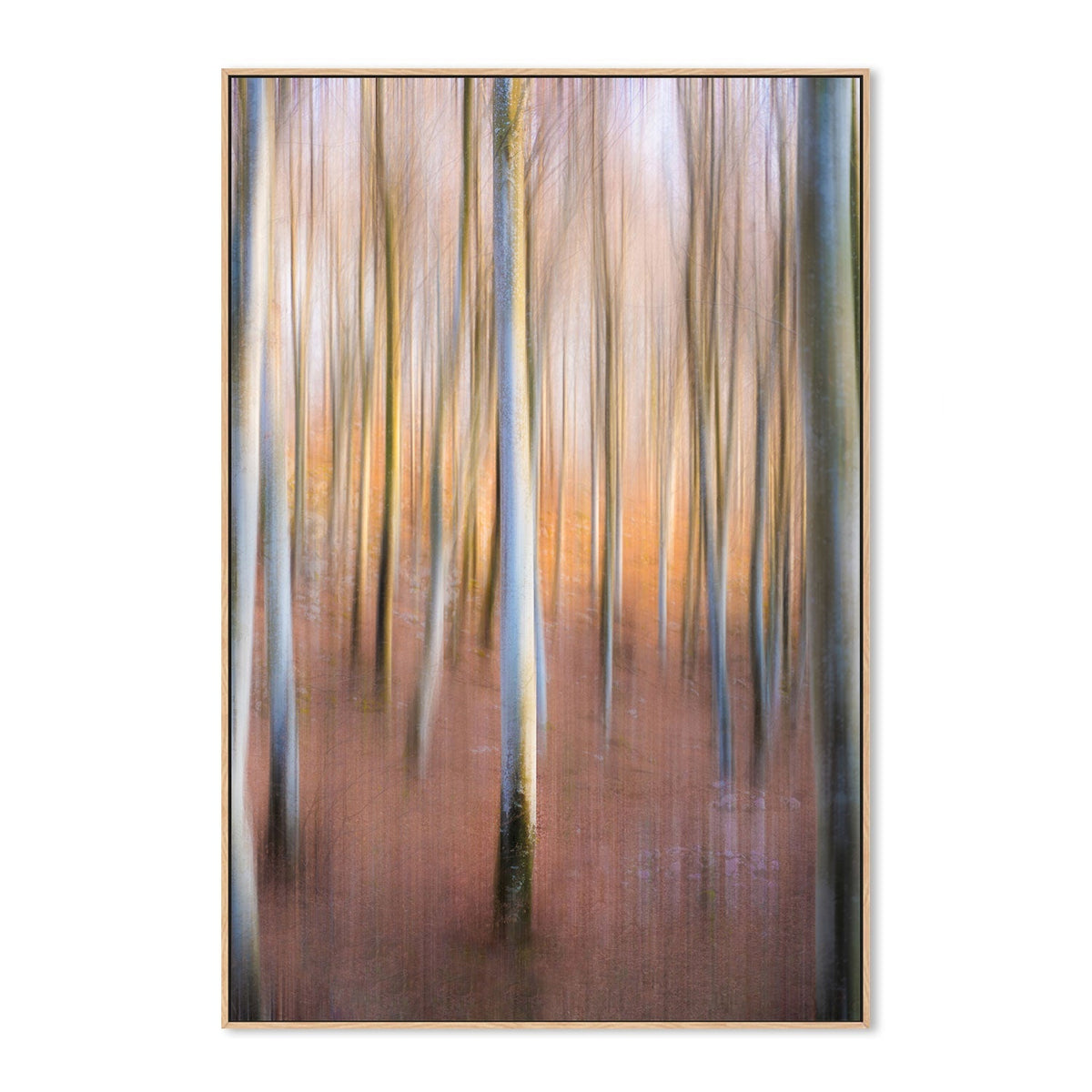 wall-art-print-canvas-poster-framed-Magic Woodland, by Riccardo Zanin-by-Plus X Studio-Gioia Wall Art