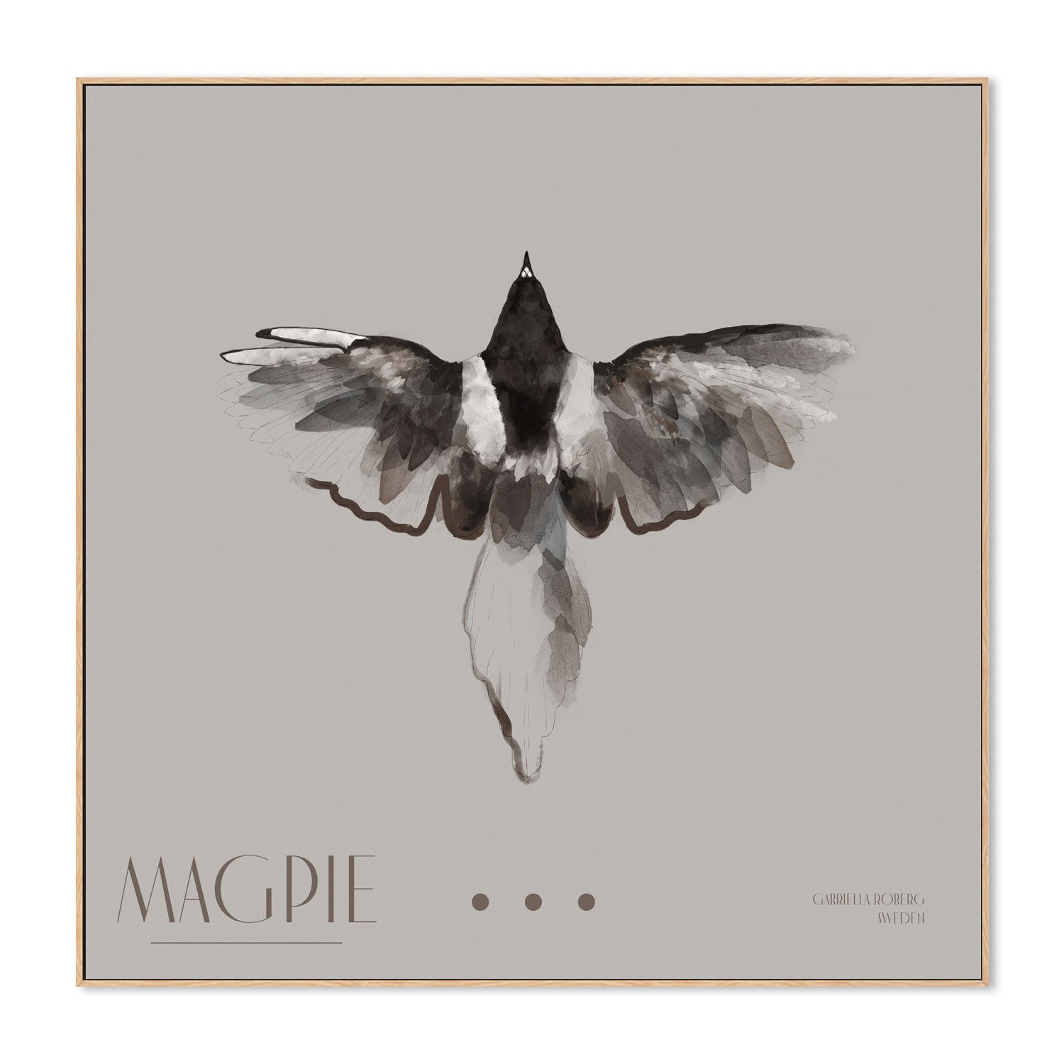 wall-art-print-canvas-poster-framed-Magpie, Style B , By Gabriella Roberg-4