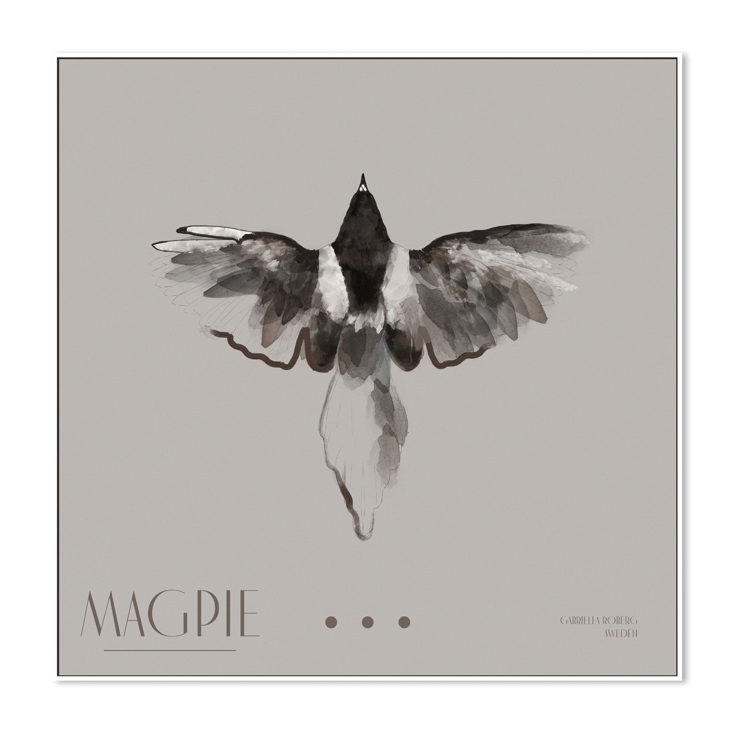 wall-art-print-canvas-poster-framed-Magpie, Style B , By Gabriella Roberg-5