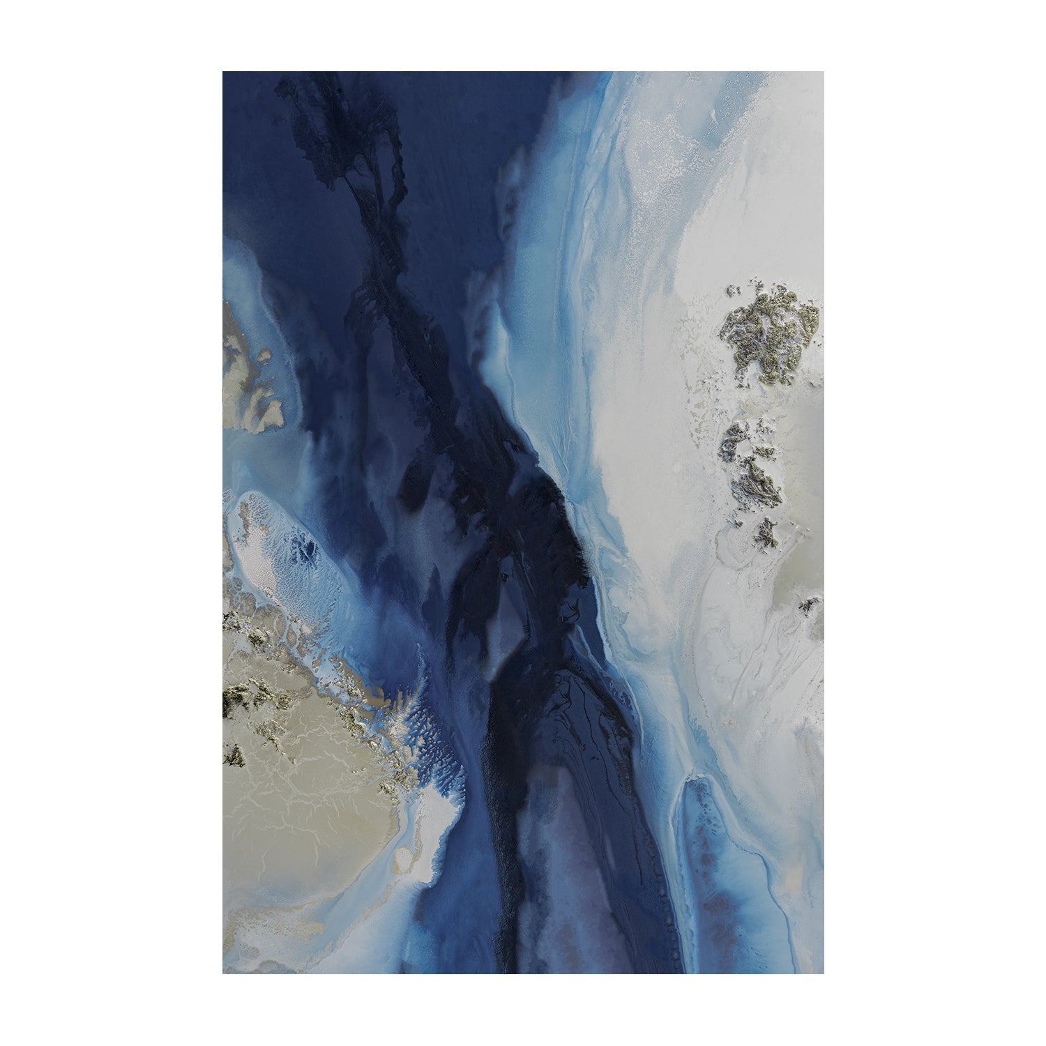wall-art-print-canvas-poster-framed-Marine Majesty, Style A & B, Set of 2, By Petra Meikle , By Petra Meikle-3