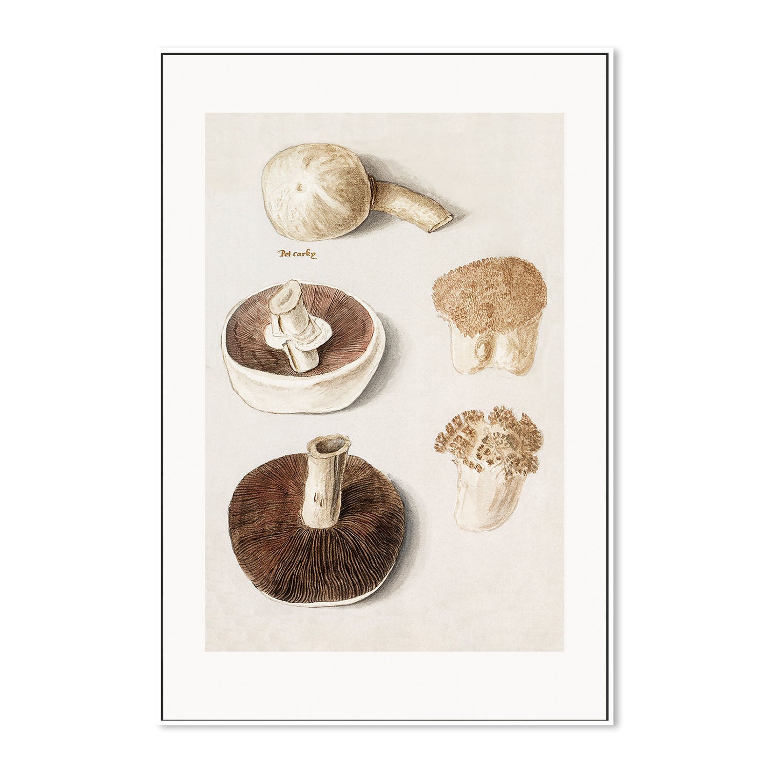 wall-art-print-canvas-poster-framed-Meadow Mushrooms-GIOIA-WALL-ART