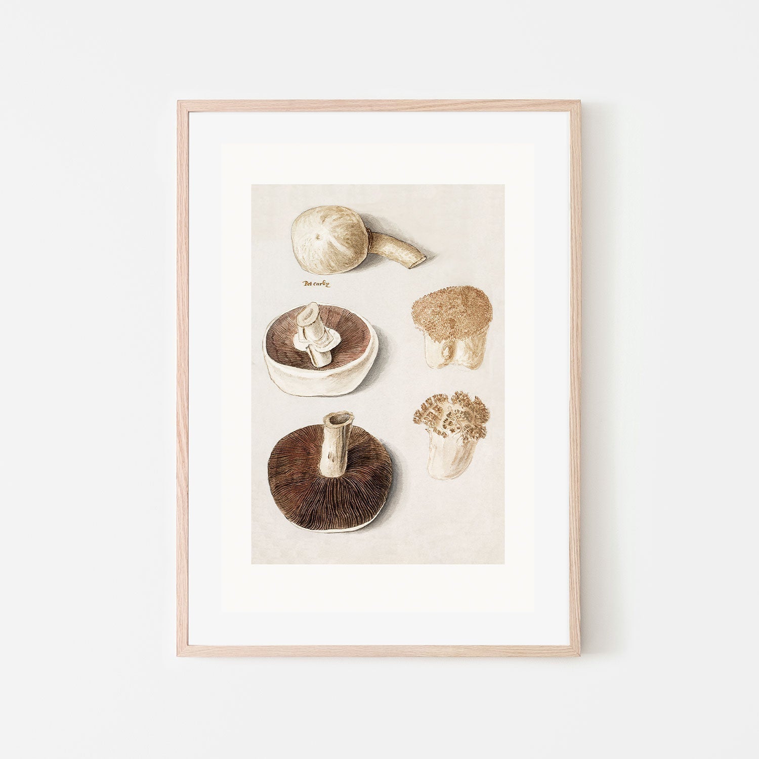 wall-art-print-canvas-poster-framed-Meadow Mushrooms-GIOIA-WALL-ART