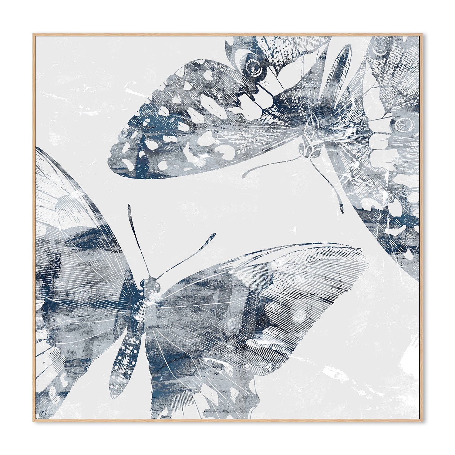wall-art-print-canvas-poster-framed-Modern Butterflies, Style C-4
