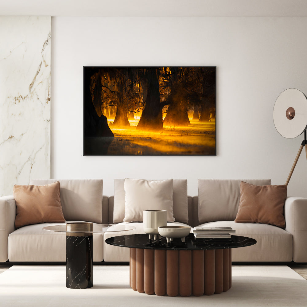 wall-art-print-canvas-poster-framed-Morning Light, By Michael Zheng-GIOIA-WALL-ART