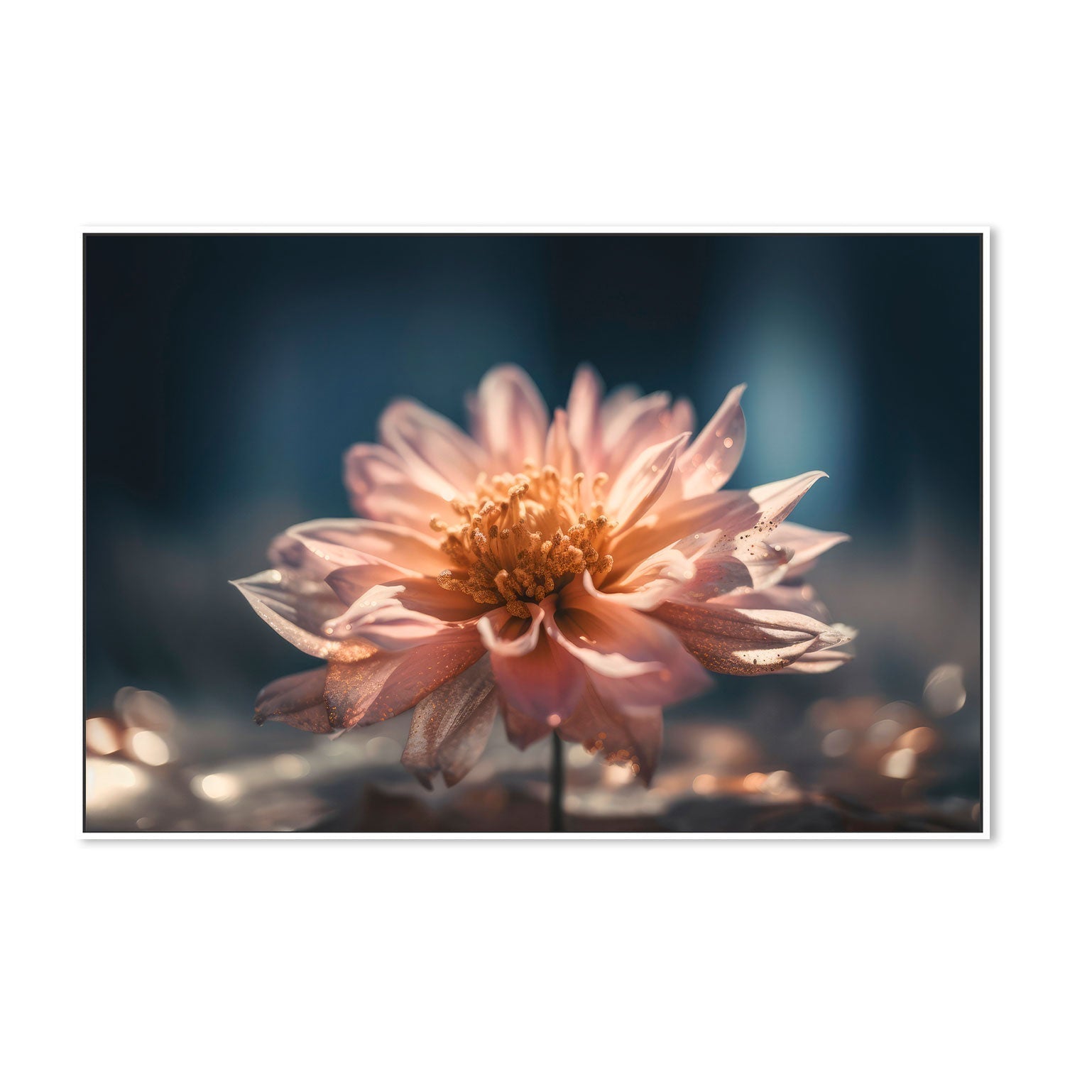 wall-art-print-canvas-poster-framed-Morning Sun Bloom , By Treechild-GIOIA-WALL-ART
