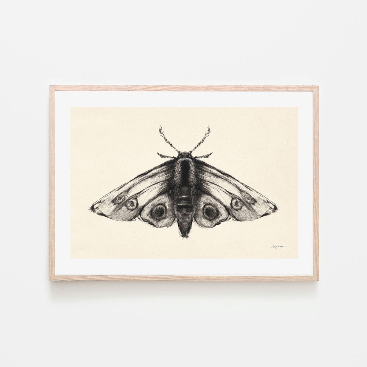 wall-art-print-canvas-poster-framed-Moth, Style A , By Avery Tillmon-GIOIA-WALL-ART