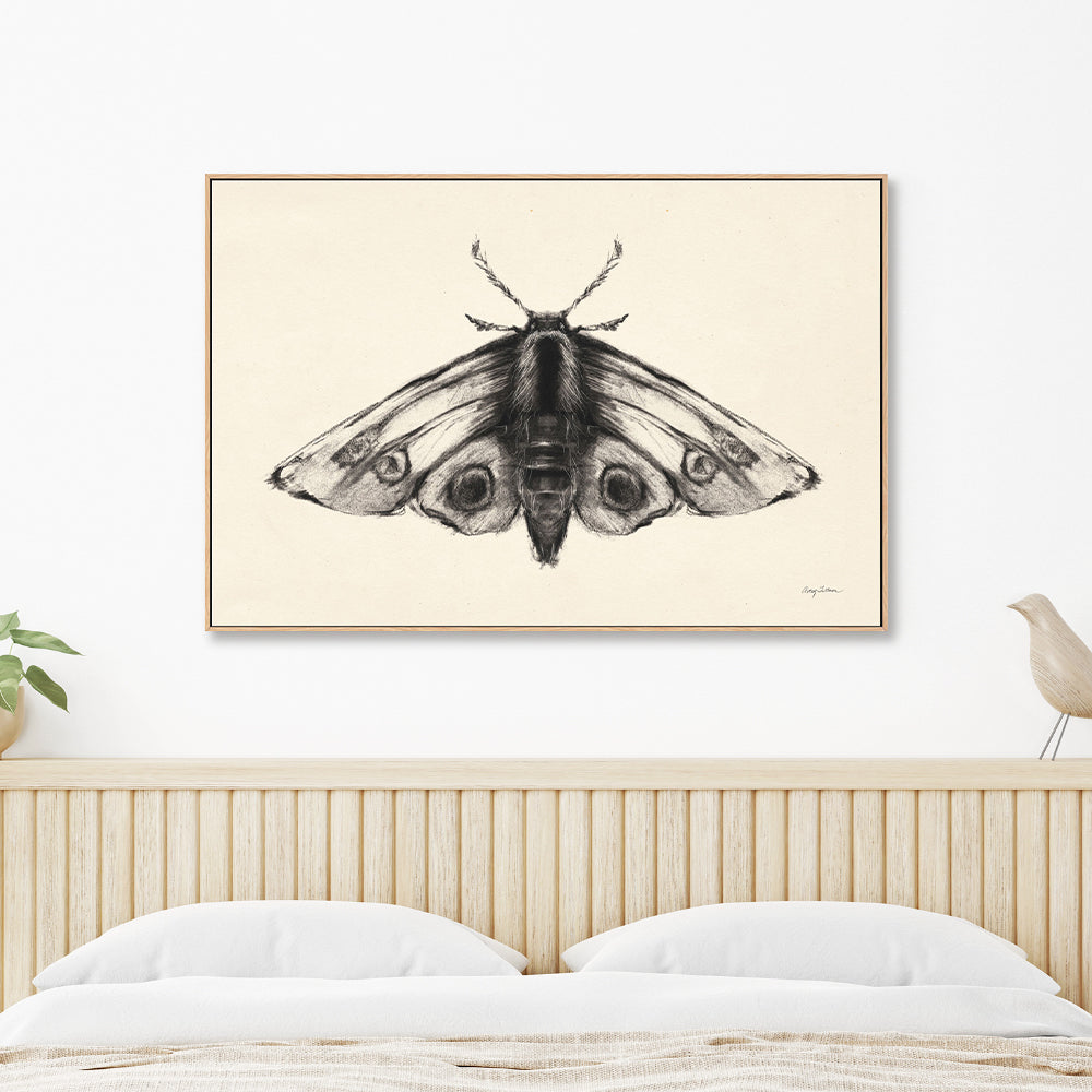 wall-art-print-canvas-poster-framed-Moth, Style A , By Avery Tillmon-GIOIA-WALL-ART