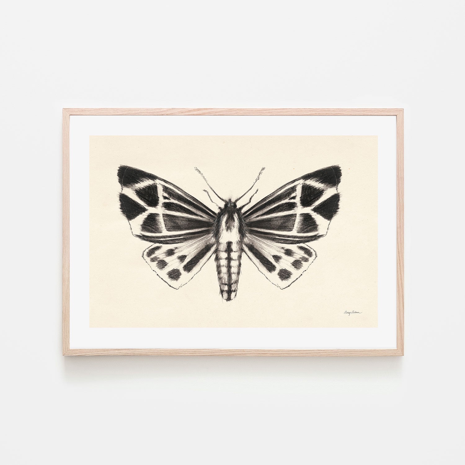 wall-art-print-canvas-poster-framed-Moth, Style B , By Avery Tillmon-GIOIA-WALL-ART