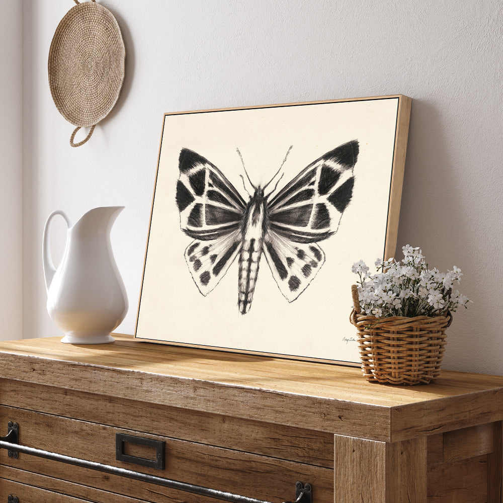 wall-art-print-canvas-poster-framed-Moth, Style B , By Avery Tillmon-GIOIA-WALL-ART