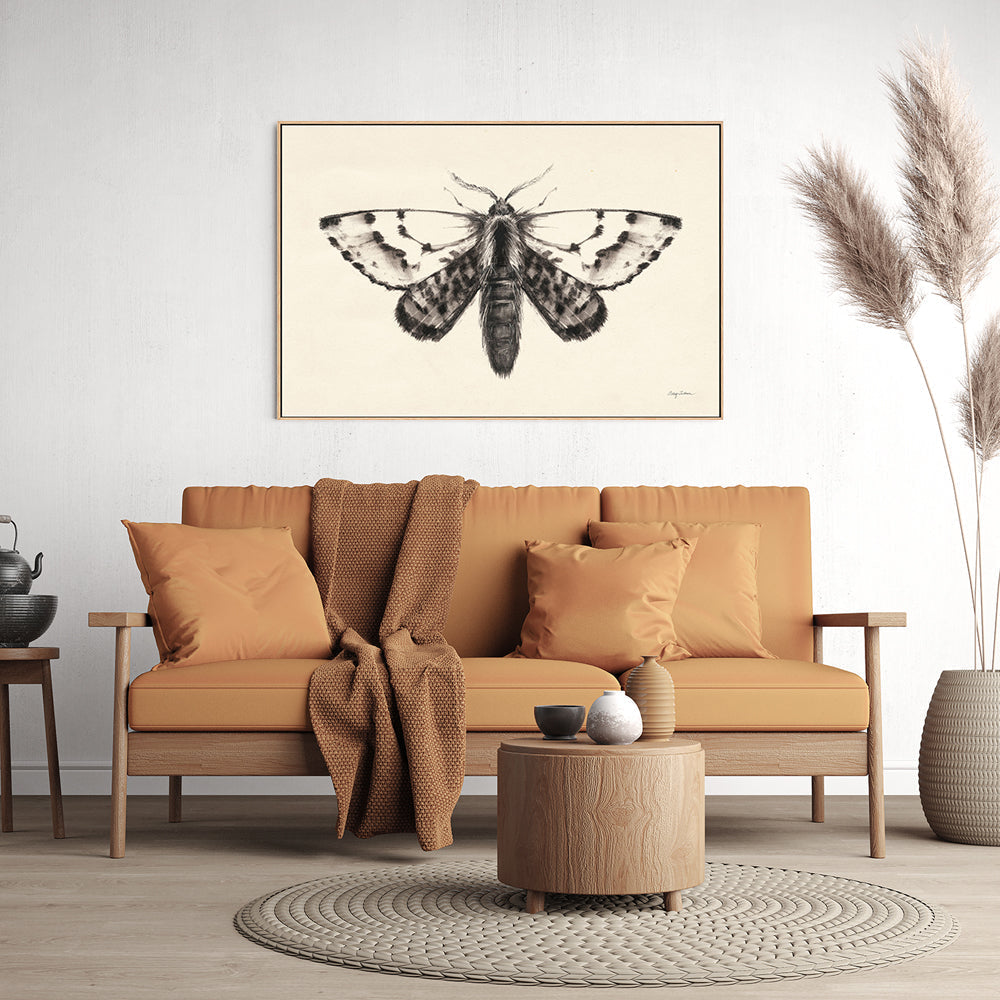 wall-art-print-canvas-poster-framed-Moth, Style C , By Avery Tillmon-GIOIA-WALL-ART
