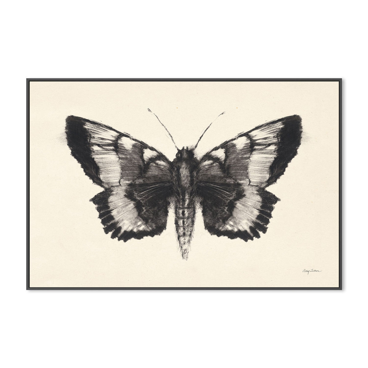 wall-art-print-canvas-poster-framed-Moth, Style D , By Avery Tillmon-GIOIA-WALL-ART