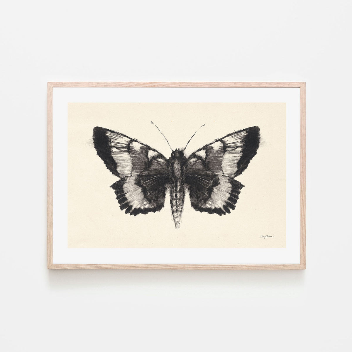 wall-art-print-canvas-poster-framed-Moth, Style D , By Avery Tillmon-GIOIA-WALL-ART