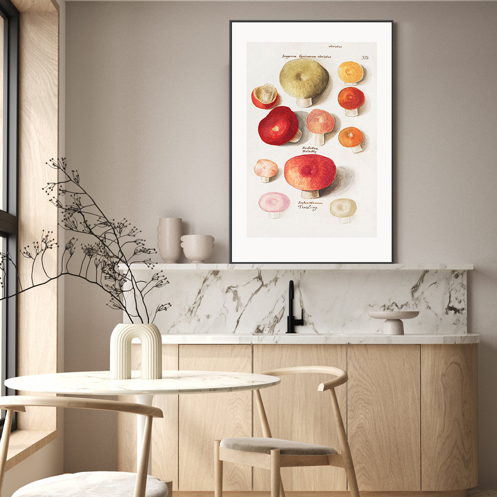 wall-art-print-canvas-poster-framed-Mushroom Variety-GIOIA-WALL-ART