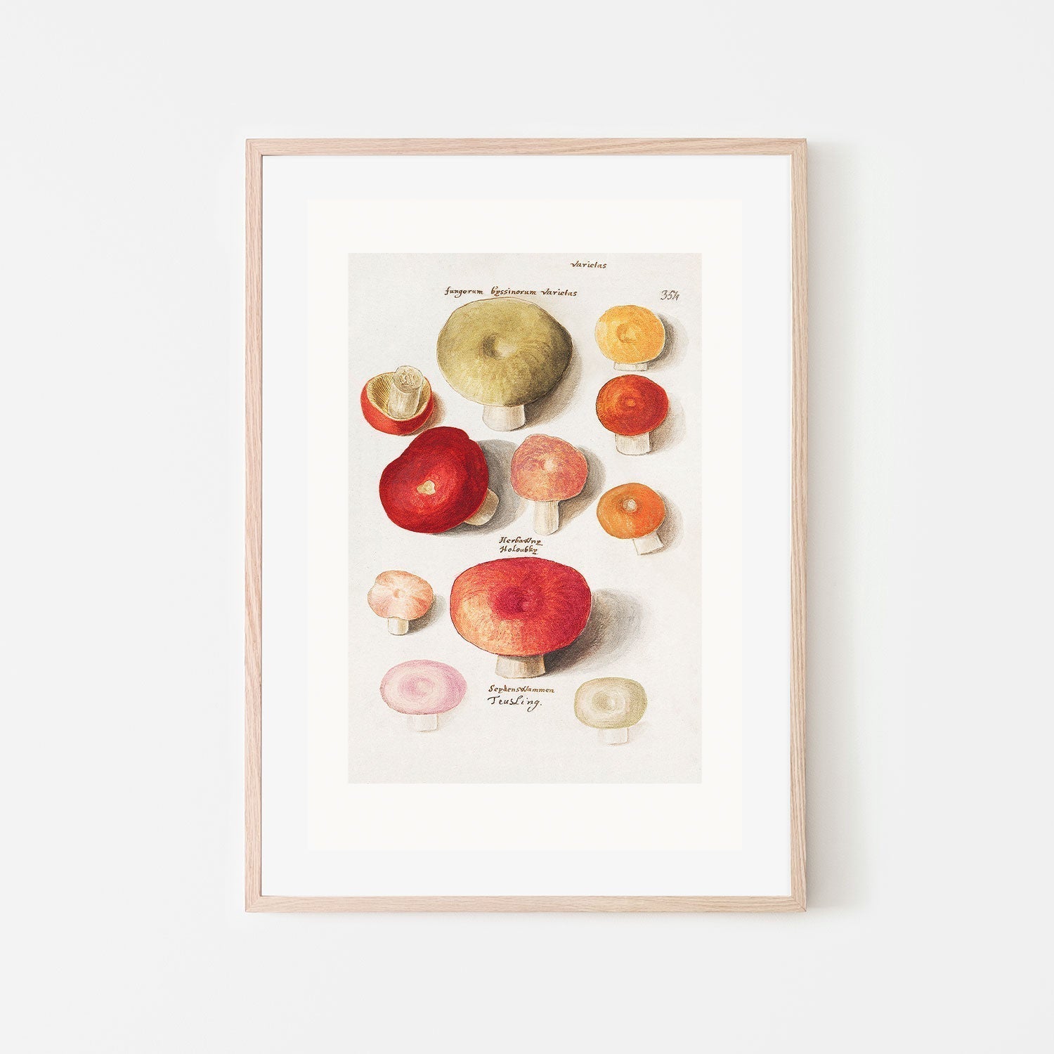 wall-art-print-canvas-poster-framed-Mushroom Variety-GIOIA-WALL-ART