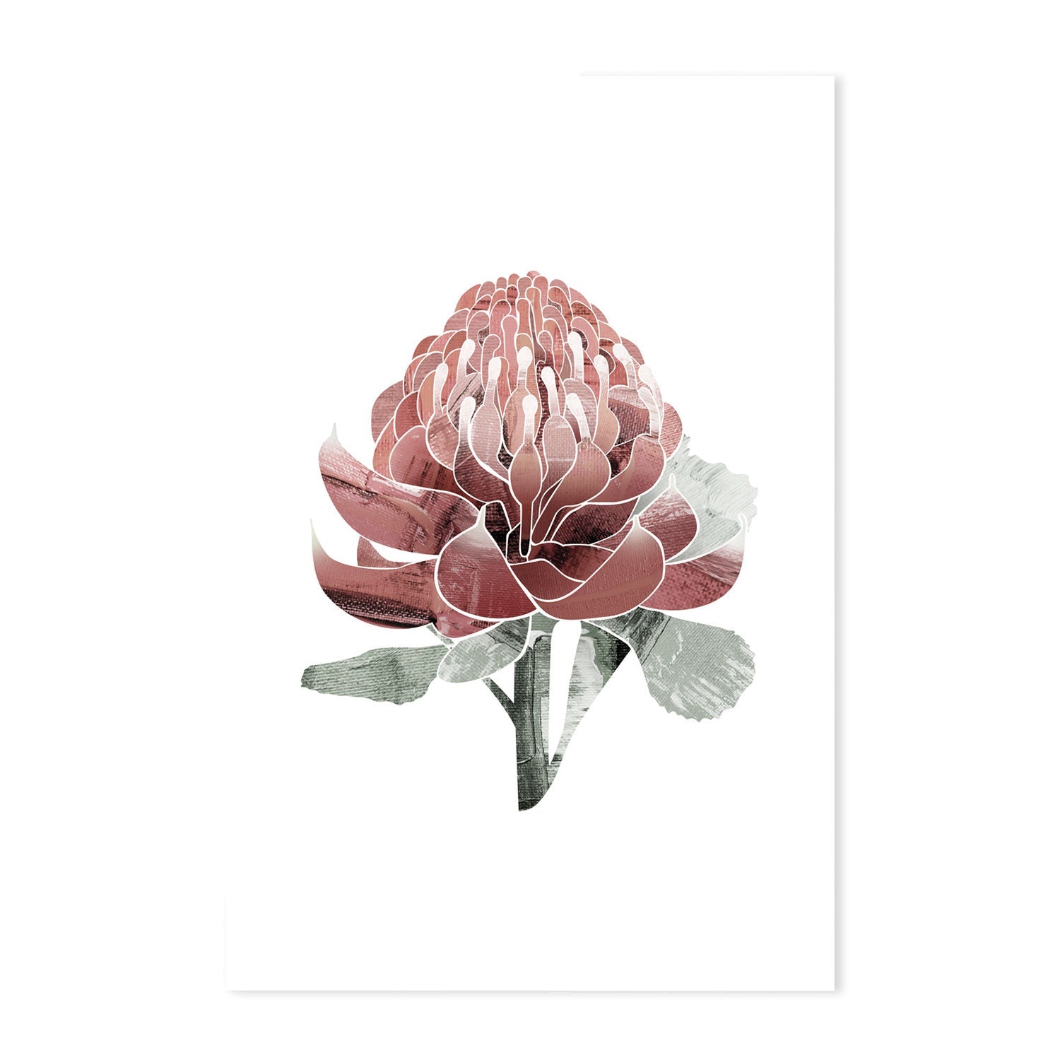 wall-art-print-canvas-poster-framed-Native Waratah-by-Dear Musketeer Studio-Gioia Wall Art