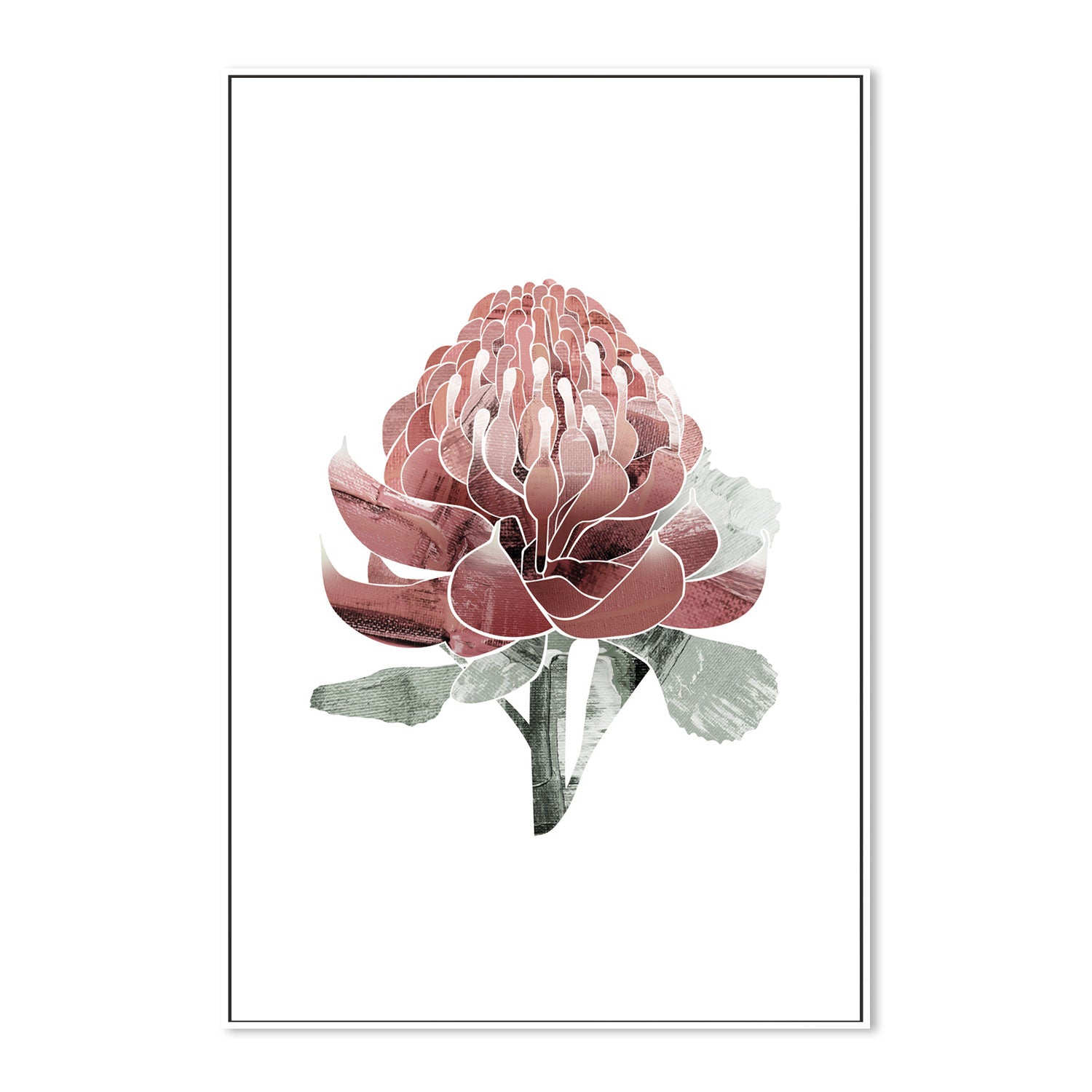 wall-art-print-canvas-poster-framed-Native Waratah-by-Dear Musketeer Studio-Gioia Wall Art