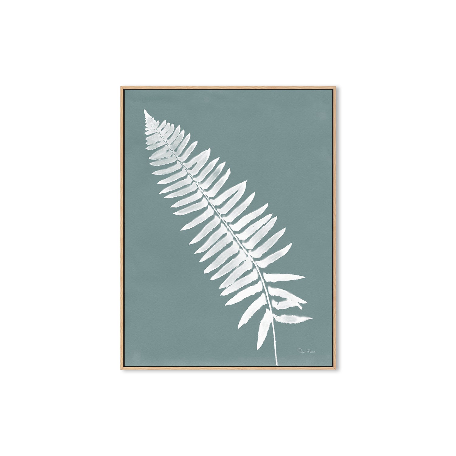 wall-art-print-canvas-poster-framed-Nature by the Lake Ferns IV Gray Mist , By Piper Rhue-4