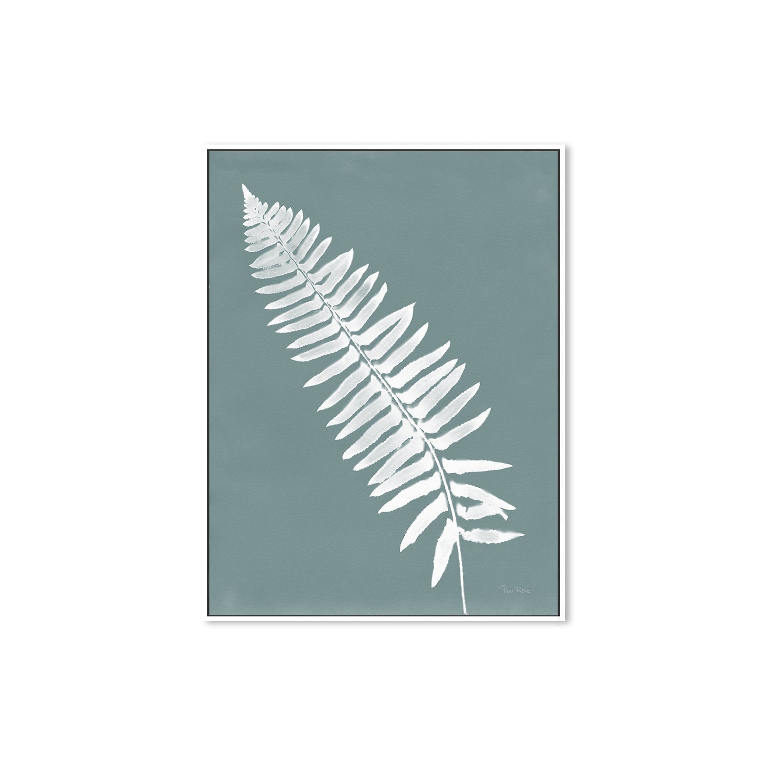 wall-art-print-canvas-poster-framed-Nature by the Lake Ferns IV Gray Mist , By Piper Rhue-5