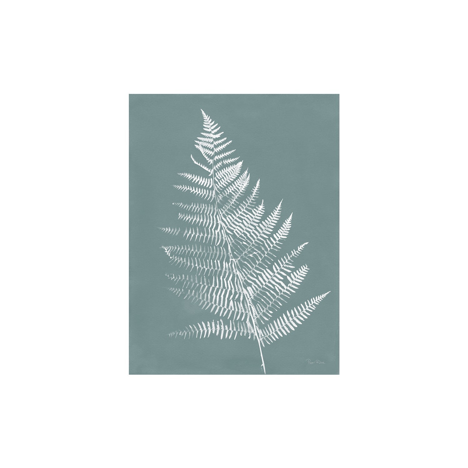 wall-art-print-canvas-poster-framed-Nature by the Lake Ferns VI Gray Mist , By Piper Rhue-1