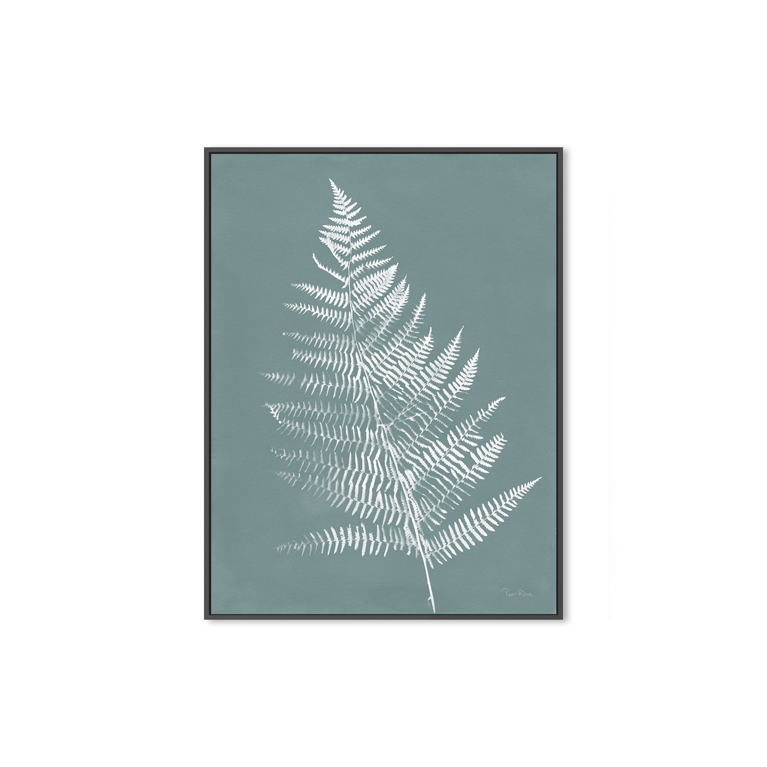 wall-art-print-canvas-poster-framed-Nature by the Lake Ferns VI Gray Mist , By Piper Rhue-3