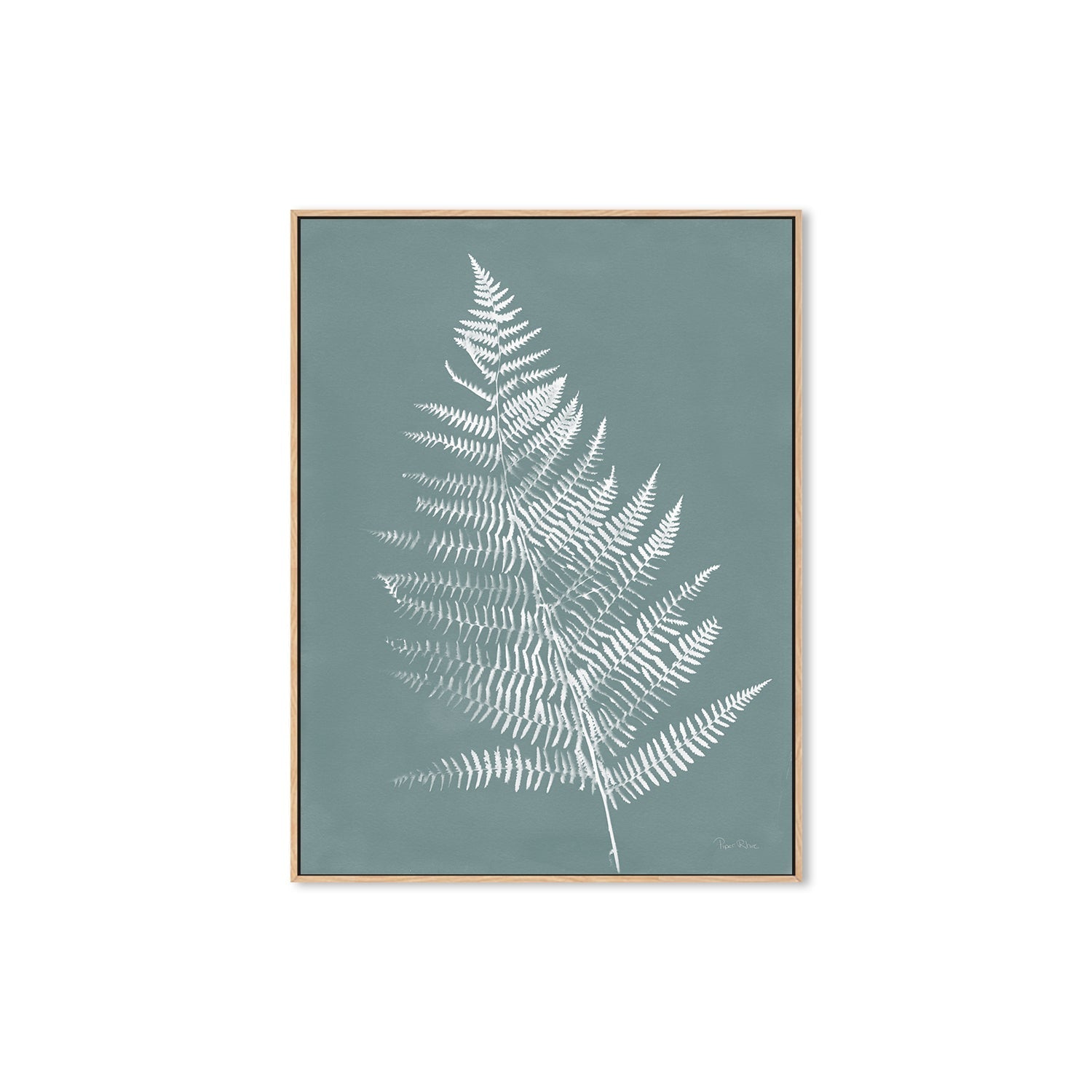 wall-art-print-canvas-poster-framed-Nature by the Lake Ferns VI Gray Mist , By Piper Rhue-4