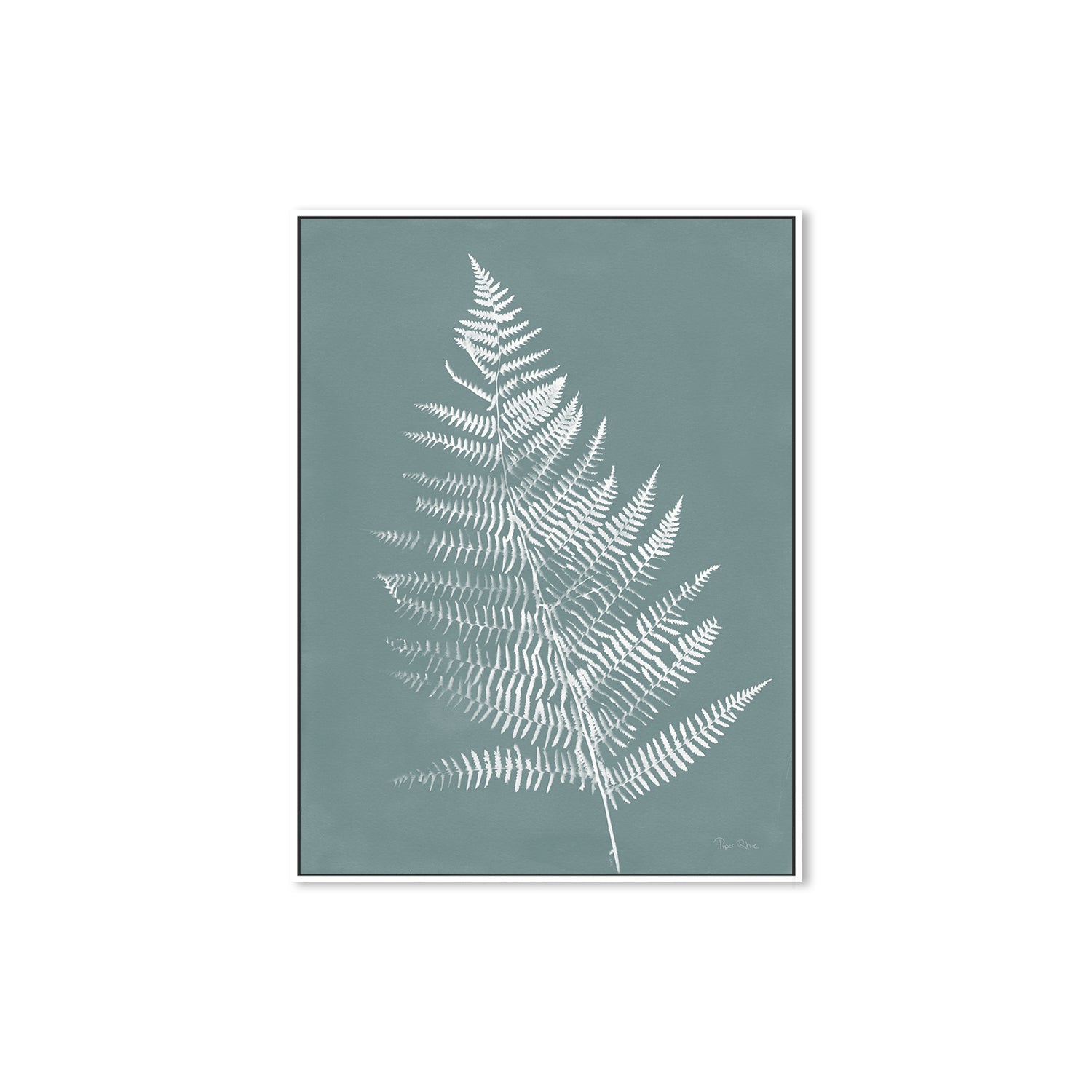wall-art-print-canvas-poster-framed-Nature by the Lake Ferns VI Gray Mist , By Piper Rhue-5