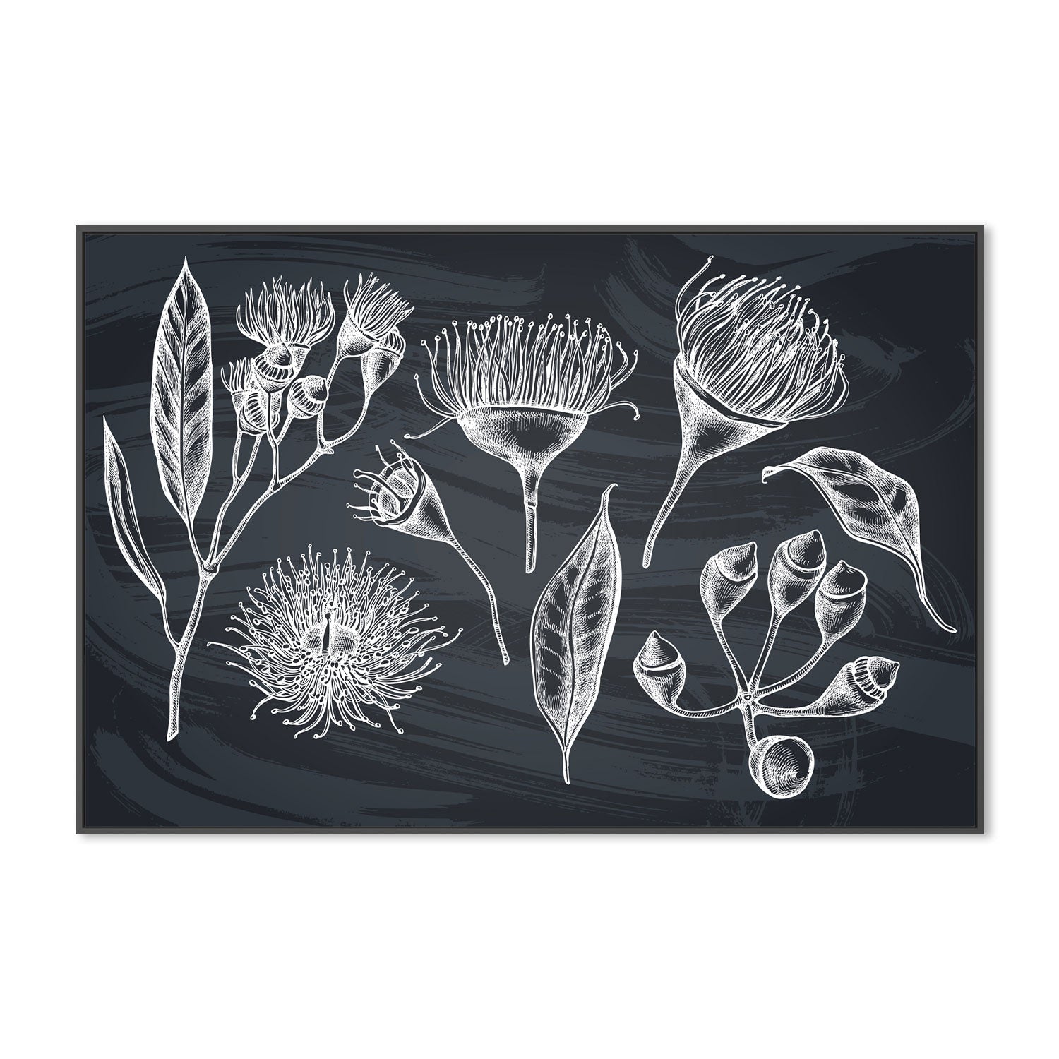 wall-art-print-canvas-poster-framed-Navy Native Plants-GIOIA-WALL-ART